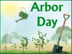 Arbor Day Lesson Plans, Activities, and Writing Prompt Ideas