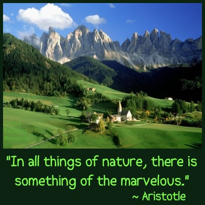 Aristotle Quote - In all things of nature there is something of the marvelous.