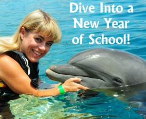 Heidi McDonald Unique Teaching Resources Teacher and Dolphin