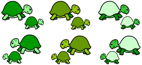 Esio Trot Turtle and Tortoise Bulletin Board Display Ideas and Examples
