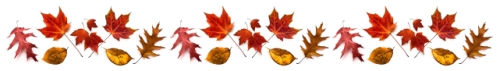 Fall Leaves Divider