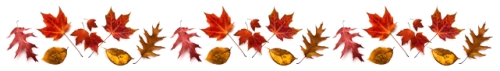 leaf divider clip art - photo #19