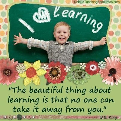 Quotes About Learning - The beautiful thing about learning is that no one can take it away from you. B.B. King