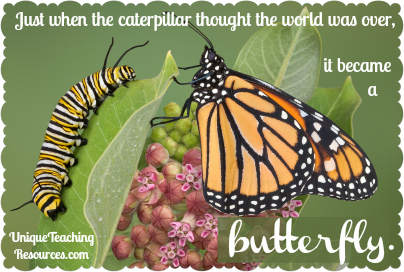 Quote About Nature - Just when the caterpillar thought the world was over,it became a butterfly.