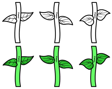 Spring Flower Bulletin Board Accent Pieces Stems and Leaves