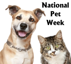 http://www.uniqueteachingresources.com/image-files/nationalpetweek.jpg