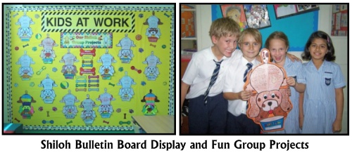 Shiloh Bulletin Board Display Examples and Fun Group Projects