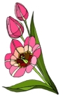 Spring Bulletin Board Flower