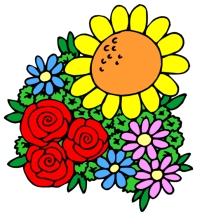 Spring Flowers Teaching Resources