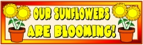 Spring Teaching Resources Sunflower Bulletin Board Display Banner