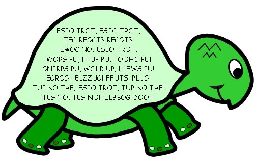 Esio Trot Tortoise Language Roald Dahl Bulletin Board Display Lesson Plan Ideas
