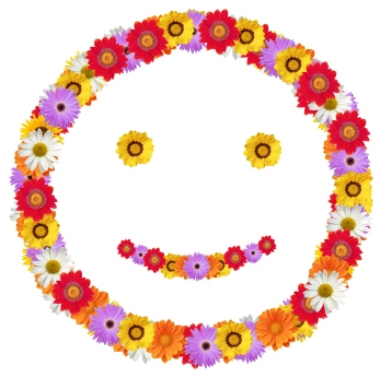 Spring Smiling Flowers Graphic