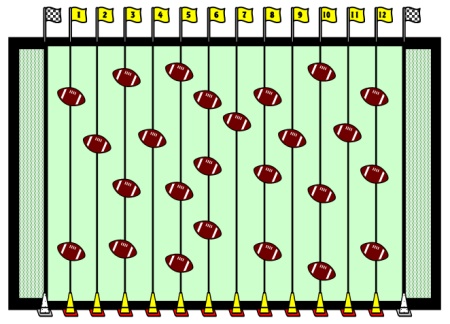 Football Field Student Birthday Display Example and Ideas