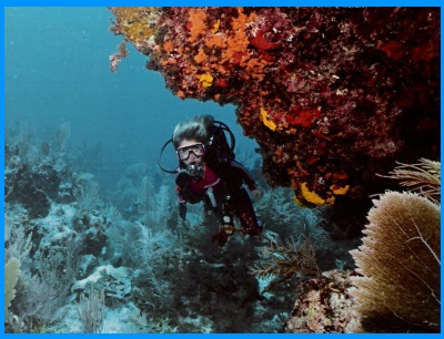 Heidi McDonald Diving in Cozumel, Mexico