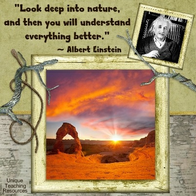 Einstein Quotes - Look deep into nature, and then you will understand everything better.