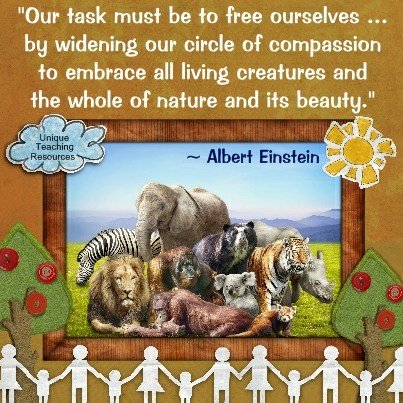 Einstein Quotes - Our task must be to free ourselves by widening our circle of compassion to embrace all living creatures and the whole of nature and its beauty.