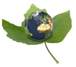 Recycling, Environmental, and Think Green Teaching Resources