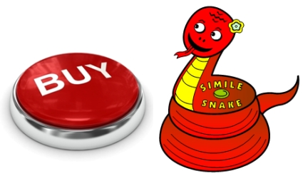 Buy Simile Snake Lesson Plans Now