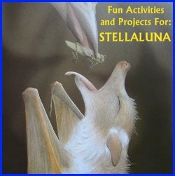 Stelluna Fun Activities and Ideas for Projects