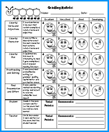 Blank book report rubric