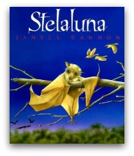 Stellaluna Book Cover and Creative Book Report Projects