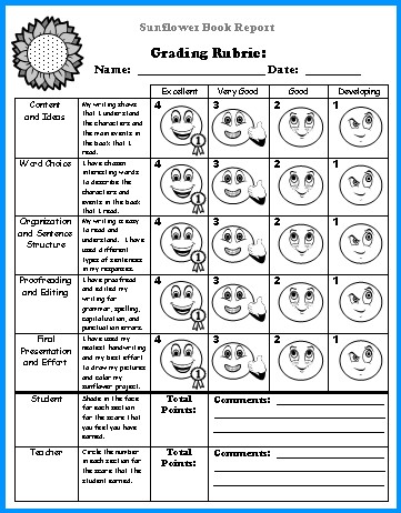 Book report projects for fifth grade