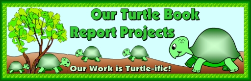 Turtle Book Report Project Bulletin Board Display Ideas and Examples