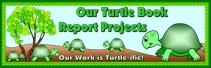 Turtle Book Report Project Bulletin Board Display Banner