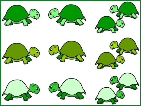 Turtle Bulletin Board Display Ideas and Examples - Free Turtle Templates