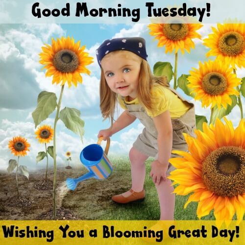 Good Morning Tuesday! Wishing you a blooming great day!