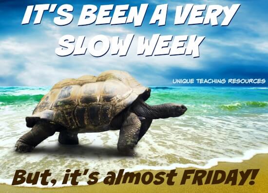Thursday turtle:  It's been a very slow week but it's almost Friday.