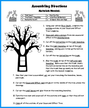 Book Report Project Assembly Directions Cause and Effect Tree