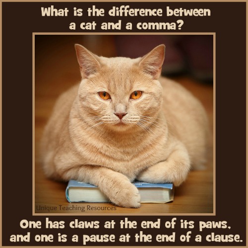 The difference between a cat and a comma.