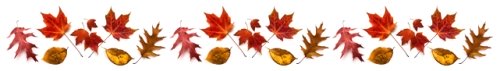 Fall Leaves Line Divider