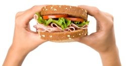 Sandwich in Hands
