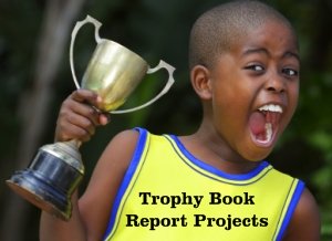 Fun Book Report Projects and Templates Boy Elementary School Student