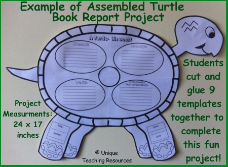 Example of Assembled Turtle Book Report Project Templates