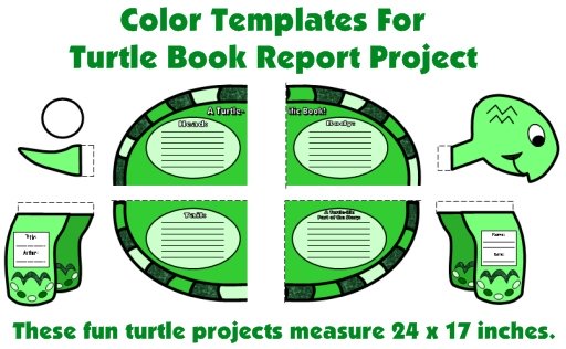Color Templates For Turtle Book Report Projects