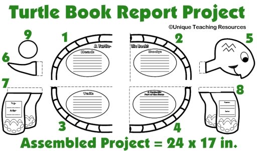 Turtle Book Report Project Templates For Elementary School Students