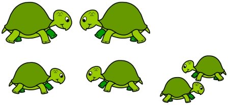 Turtle Bulletin Board Display Examples