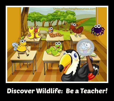 Discover Wildlife: Be a Teacher!