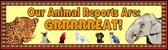 Free teaching resource to download - Animal Reports and Projects bulletin board display banner