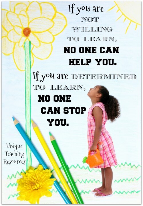 If you are not willing to learn, no one can help you. If you are determined to learn, no one can stop you.