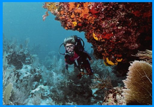 Heidi McDonald scuba diving in Cozumel, Mexico