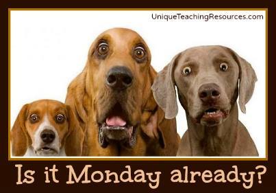 Is it Monday already?  Funny quote and graphic with dogs