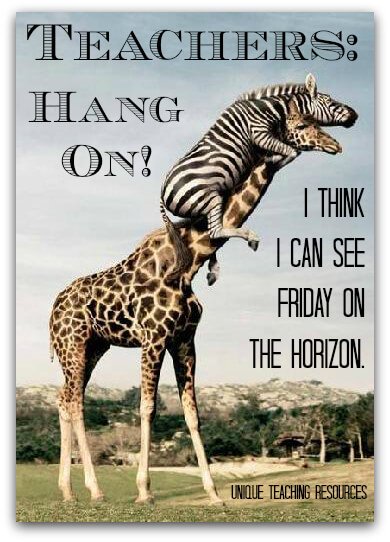 Thursday Funny Teacher Quote:  Hang on!  I think I can see Friday on the horizon.