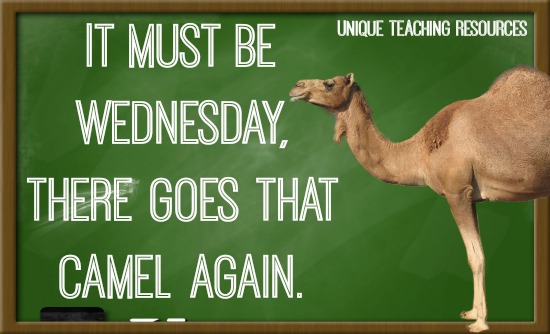 Hump Day Quote: It must be Wednesday, there goes that camel again.